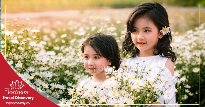 Giá Vé Tham Quan Ở Hải Dương Mới Nhất 2026