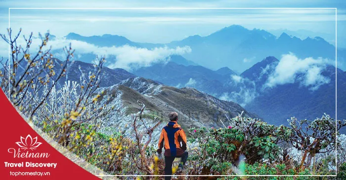 Giá Vé Tham Quan Ở Lai Châu Mới Nhất 2026