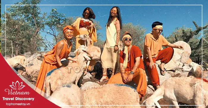 Giá Vé Tham Quan Ở Ninh Thuận Mới Nhất 2026
