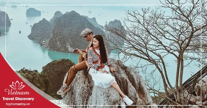 Giá Vé Tham Quan Ở Quảng Ninh Mới Nhất 2026