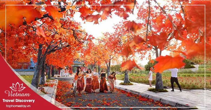 Giá Vé Tham Quan Ở Thái Bình Mới Nhất 2026