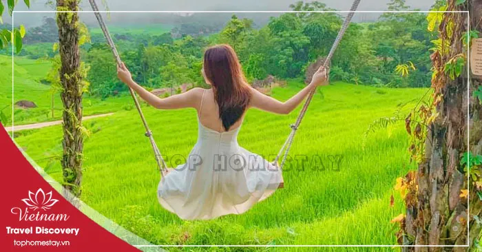Giá Vé Tham Quan Ở Thanh Hóa Mới Nhất 2026