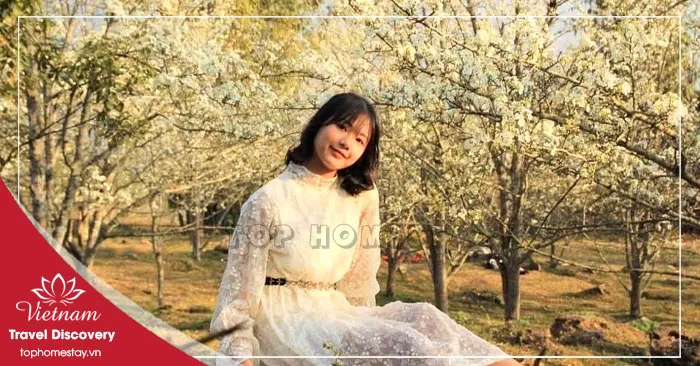 Giá Vé Tham Quan Ở Tuyên Quang Mới Nhất 2026