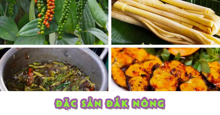 TOP 20+ Món Ăn Ngon Đặc Sản Đắk Nông Bạn Phải Thử Năm 2026