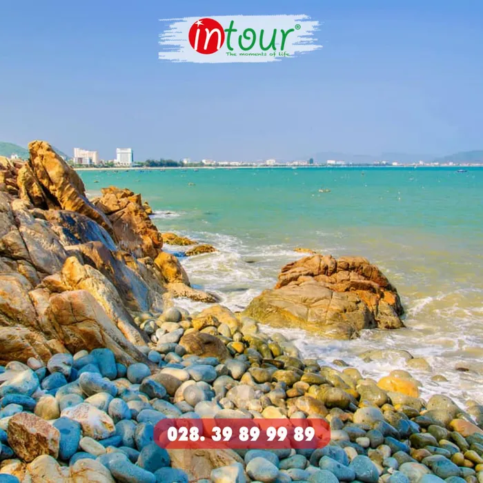 Du Lịch Tết 2026: Tour Quy Nhơn 3 Ngày 3 Đêm