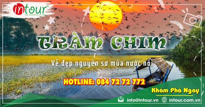 Tour Du Lịch Đồng Tháp 2 Ngày 1 Đêm: Sa Đéc - Tràm Chim - Làng Hoa Tân Quy Đông - Chùa Cổ Kiến An Cung 