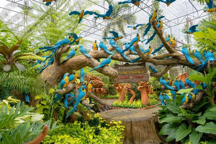 Vườn Bách Thảo Nhiệt Đới Nong Nooch Thái Lan