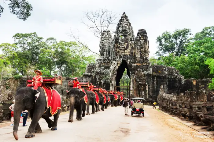Tour Cần Thơ Campuchia Trọn Gói 2025 4