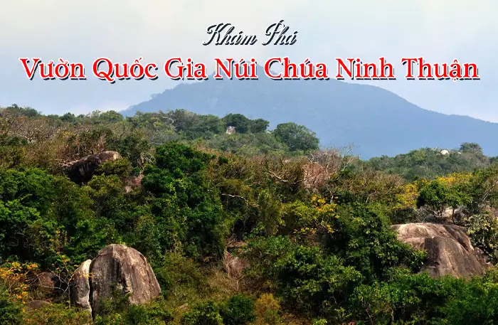 Vườn Quốc Gia Núi Chúa Ninh Thuận