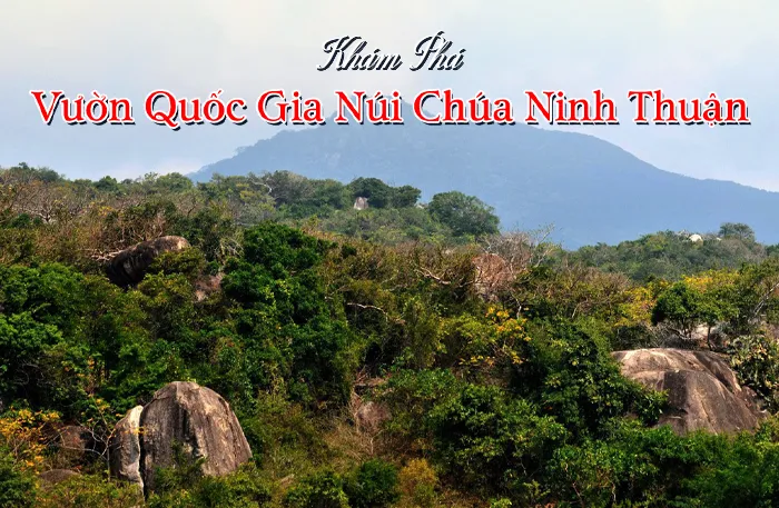 Vườn Quốc Gia Núi Chúa Ninh Thuận