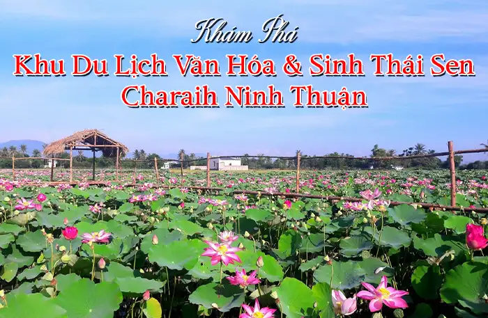 Khu Du Lịch Văn Hóa & Sinh Thái Sen Charaih Ninh Thuận