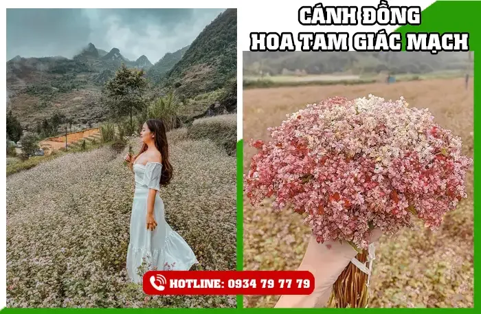 Tour du lịch Hà Giang 4 ngày 3 đêm 6