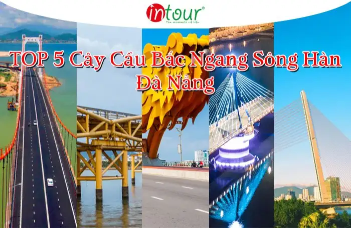 TOP 5 Cây Cầu Đà Nẵng Nổi Tiếng Bắc Qua Sông Hàn