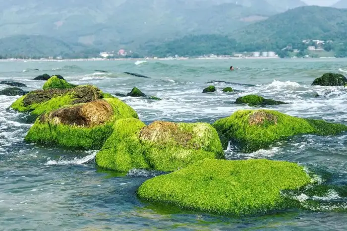 Bãi Rêu Rạn Nam Ô Đà Nẵng
