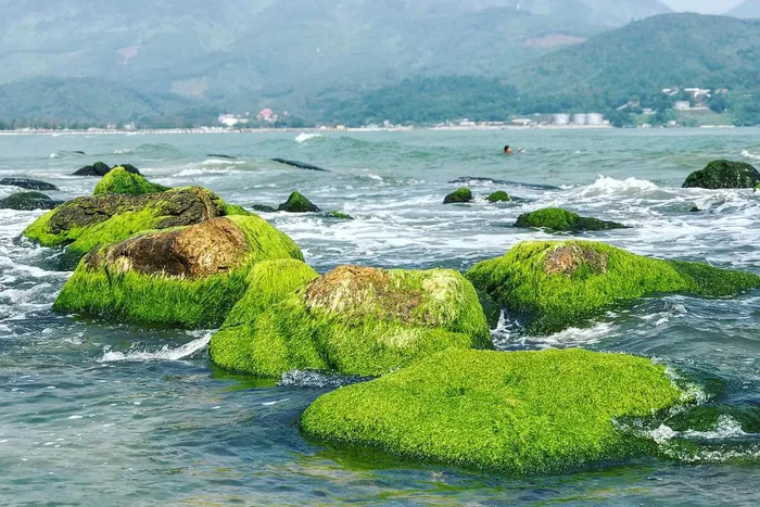 Bãi Rêu Rạn Nam Ô Đà Nẵng