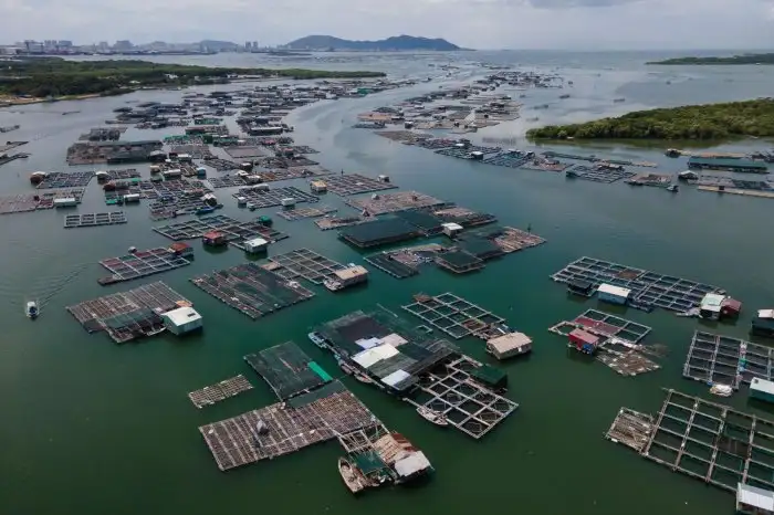 Làng Bè Long Sơn Vũng Tàu: Kinh Nghiệm Du Lịch A-Z & Top 5 Làng Bè Ngon Nhất