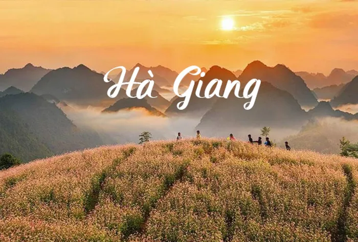Sông Nho Quế đi như thế nào, chơi gì đẹp?