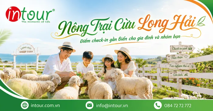 Nông Trại Cừu Long Hải: Điểm Check-In Gần Biển Phù Hợp Cho Gia Đình, Nhóm Bạn
