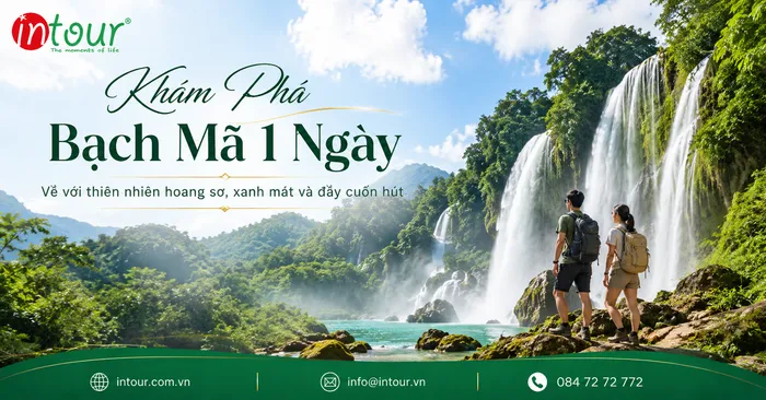 Rừng Quốc Gia Bạch Mã 1 Ngày Có Gì Hấp Dẫn? Kinh Nghiệm Đi Từ Đà Nẵng, Huế