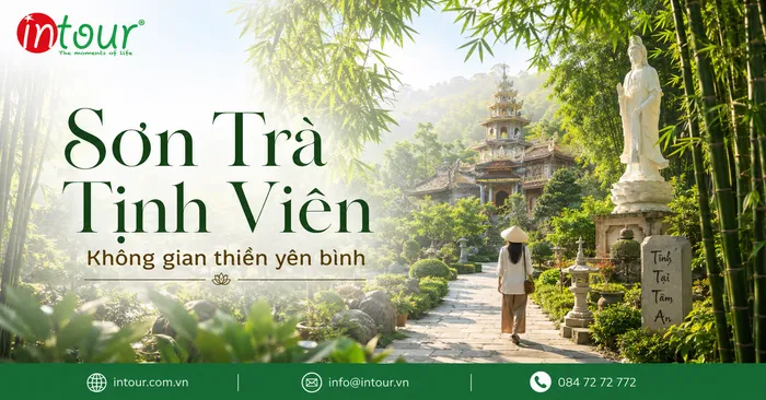 Sơn Trà Tịnh Viên Đà Nẵng Có Gì? Khu Bảo Tồn Tre Trúc Yên Bình Trên Bán Đảo Sơn Trà