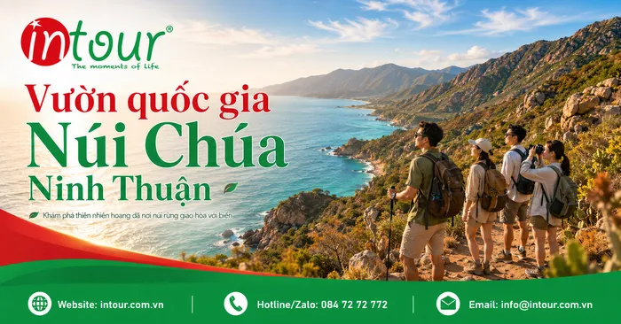 Vườn Quốc Gia Núi Chúa Ninh Thuận: Kinh Nghiệm Tham Quan, Trekking, Ghép Vĩnh Hy