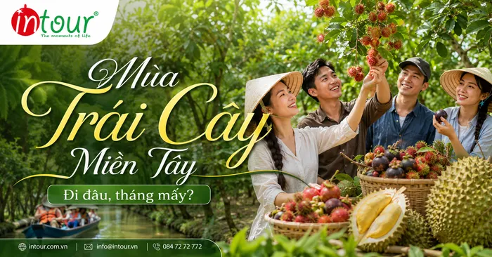 Du Lịch Miền Tây Mùa Trái Cây Nên Đi Đâu, Tháng Mấy?