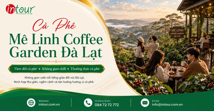 Mê Linh Coffee Garden Đà Lạt: Cafe View Đồi Tà Nung, Địa Chỉ, Giá Nước Và Kinh Nghiệm Ghé