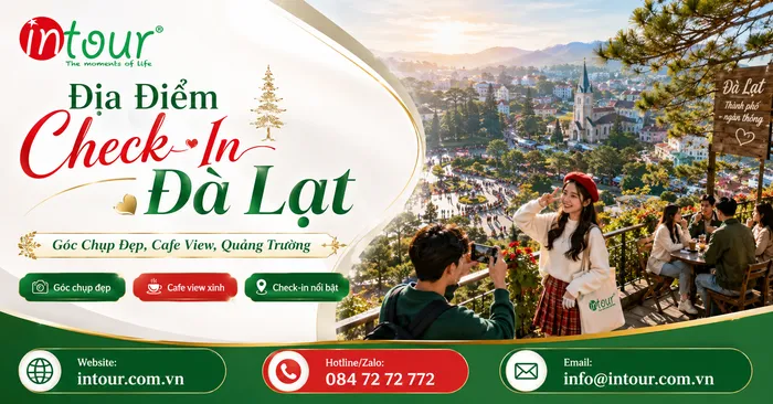 Địa Điểm Check-In Đà Lạt: Góc Chụp Đẹp, Cafe View, Bức Tường, Cây Thông, Quảng Trường Và Vườn Hoa