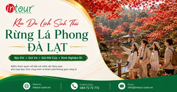 Khu Du Lịch Rừng Lá Phong Đà Lạt: Địa Chỉ, Giá Vé, Mùa Lá Và Kinh Nghiệm Tham Quan