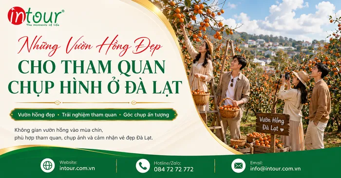 Vườn Hồng Đà Lạt: Mùa Hồng Chín, Điểm Chụp Ảnh Đẹp Và Kinh Nghiệm Mua Hồng