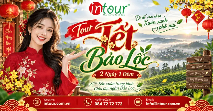Du Lịch Tết 2027: Tour Bảo Lộc 2 Ngày 1 Đêm